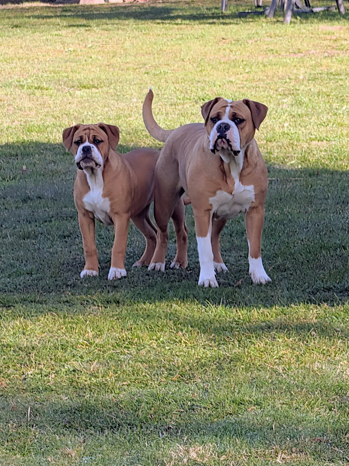 Wonder Elly mit ihrer Tochter Bazinga
